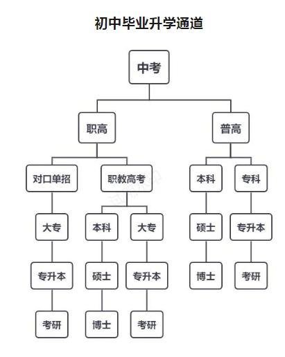 林州市開元領航職業學校升學體系是什么？